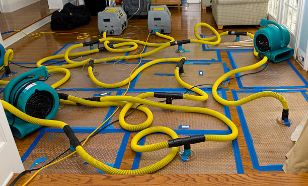 Professional Water Extraction technician working in Oilton, OK