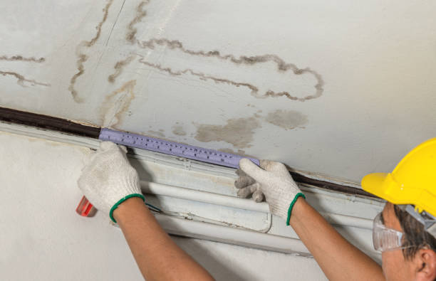 Affordable Water Damage Repair solutions in Oilton, OK